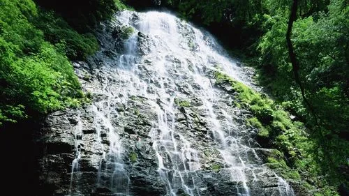 信息化电子节能
